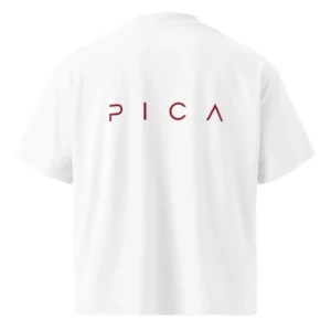 PICA x WAVES13